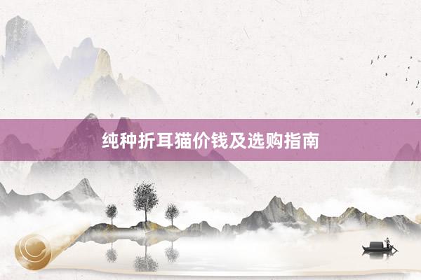 纯种折耳猫价钱及选购指南